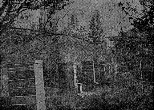 Рис. 15. Вид пасеки А. В. Фольца в июле 1932 г. в даданах