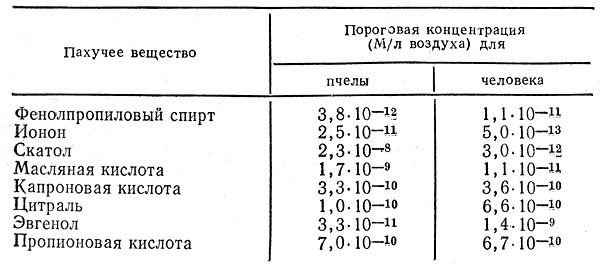 Таблица 2. Пороговые концентрации обонятельных стимулов для ольфакторных рецепторов пчелы и человека (по Р. Шварцу, 1955, и Е. Скрамлику, 1948)