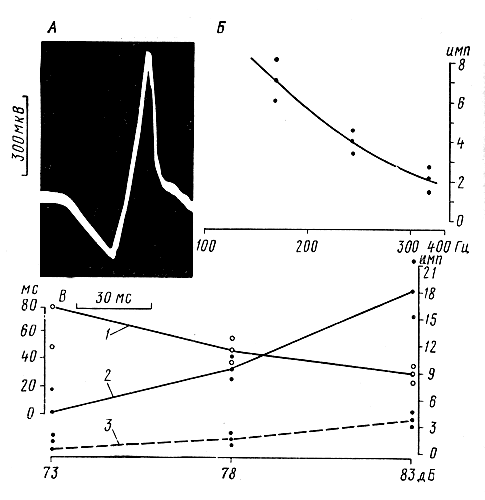 Рис. 7. Осциллограммы ответов волосковых сенсилл на звуковые стимулы различной частоты и интенсивности: А - формы импульса; Б - влияние частоты звукового стимула (длительность 150 мс, интенсивность 85 дБ) на количество импульсов, генерируемых рецептором; В - связь между интенсивностью звука частотой 200-300 Гц, продолжительностью латентного периода (1) и количеством импульсов в ответе фонорецепторов на сигнал длительностью 1,0 (2) и 0,1 с (3) (по Е. Еськову, 1975) 