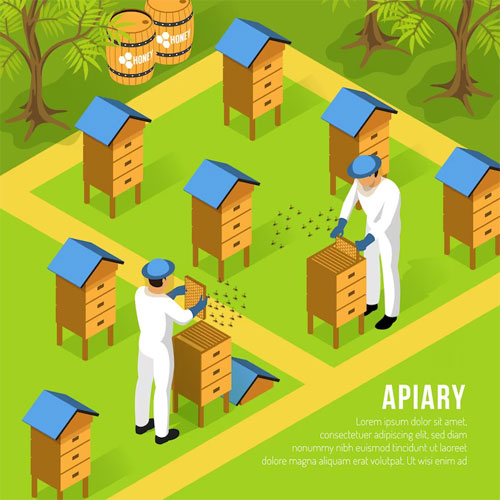 https://ru.freepik.com/free-vector/beekeepers-in-protective-clothing-at-apiary-during-work-with-hives-and-swarms-of-bees-isometric_6840016.htm#query=%D0%BF%D1%87%D0%B5%D0%BB%D0%BE%D0%B2%D0%BE%D0%B4%D1%87%D0%B5%D1%81%D0%BA%D0%BE%D0%B5%20%D1%85%D0%BE%D0%B7%D1%8F%D0%B9%D1%81%D1%82%D0%B2%D0%BE&position=24&from_view=search&track=location_fest_v1